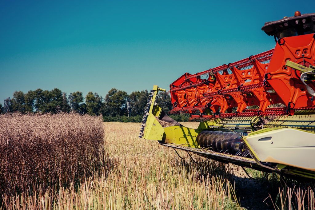 combine harvester on a wheat field. agriculture