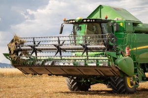 grain harvester working. wheat field harvesting