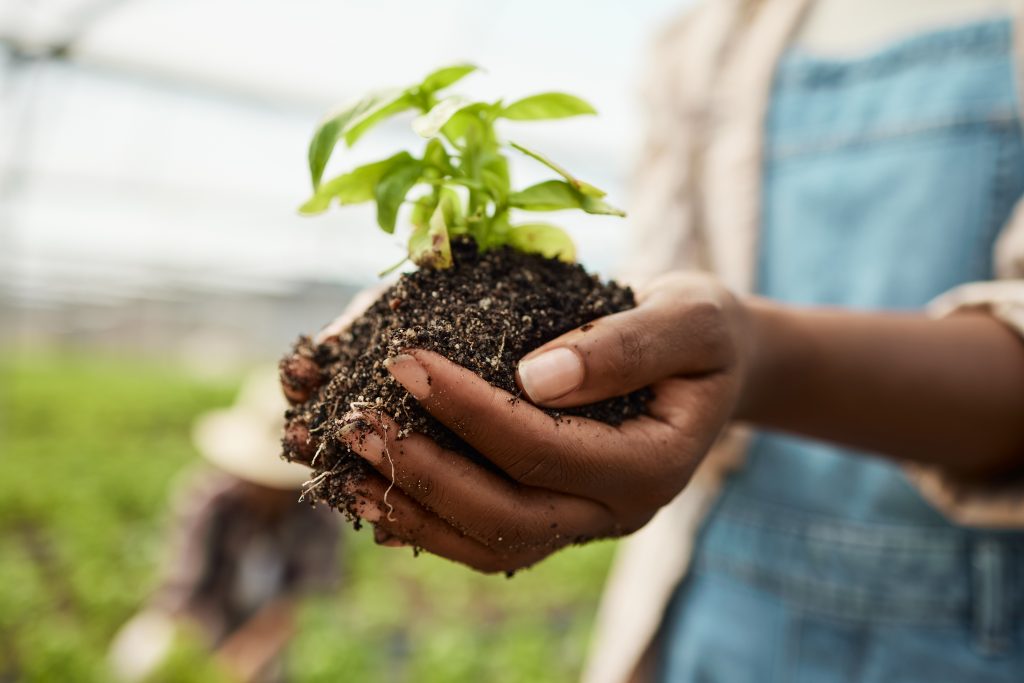hands dirt and person in greenhouse with plant g 2026 05 21 19 34 36 utc