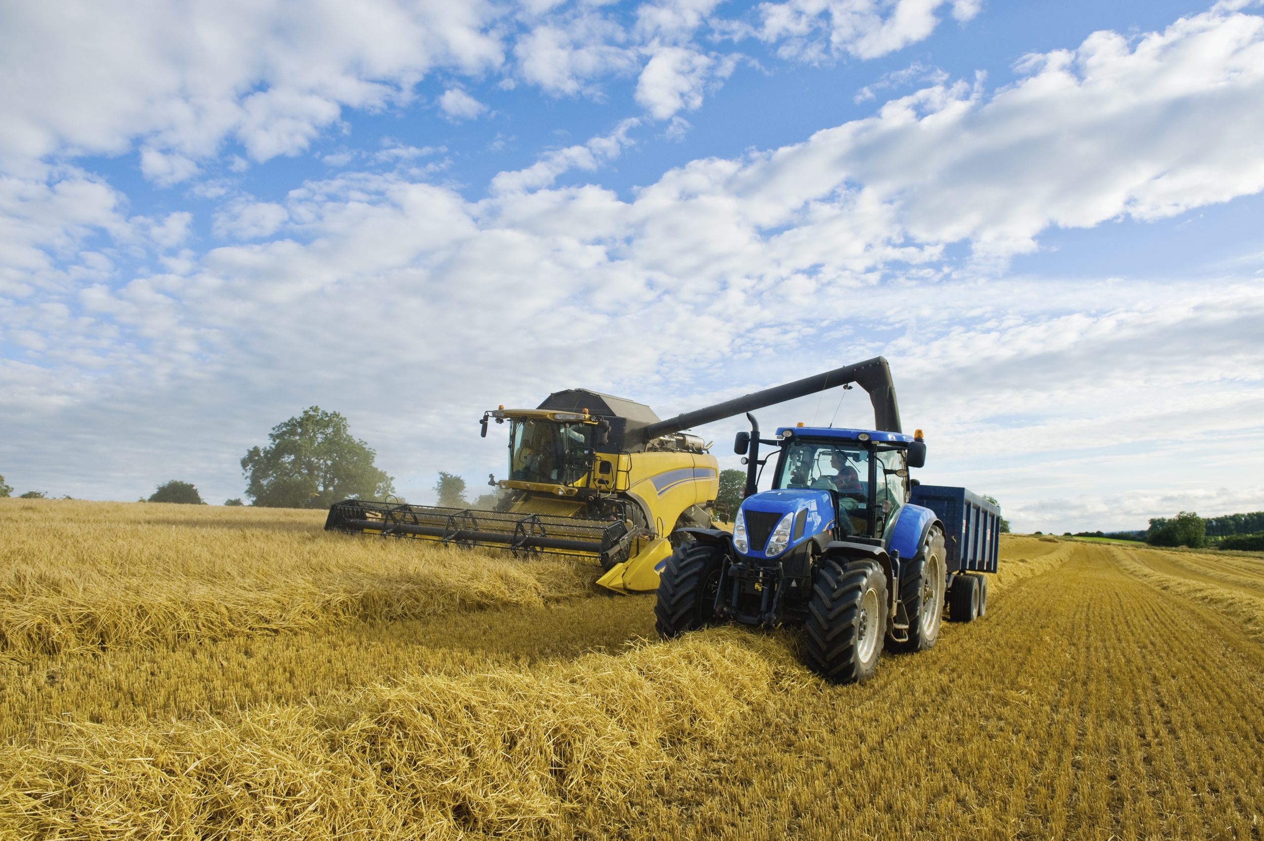 a combine harvester working alongside a tractor on a crop in a field. ,farming,england