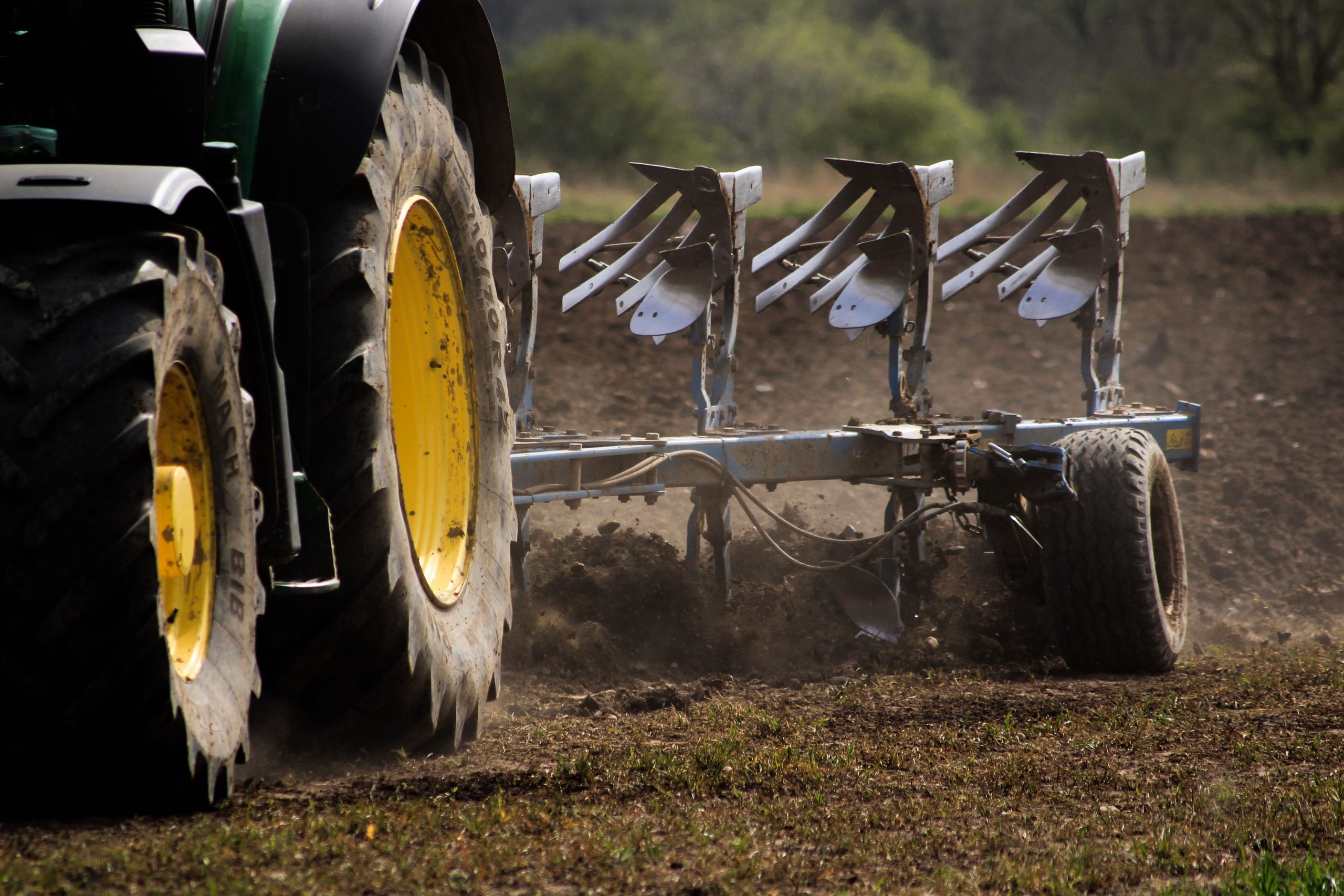 tractor with plow blades secured to its rear, cultivating the soil